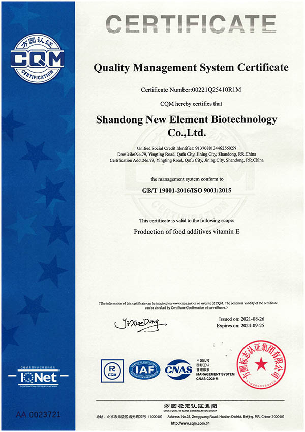 ISO9001